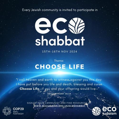 What Is EcoShabbat?