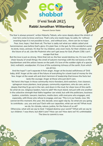 EcoShabbat Rabbi Wittenberg