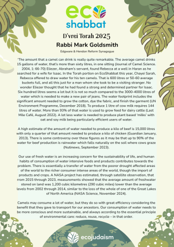 EcoShabbat Rabbi Mark Goldsmith 