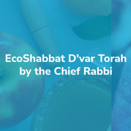 D'var Torah - by the Chief Rabbi