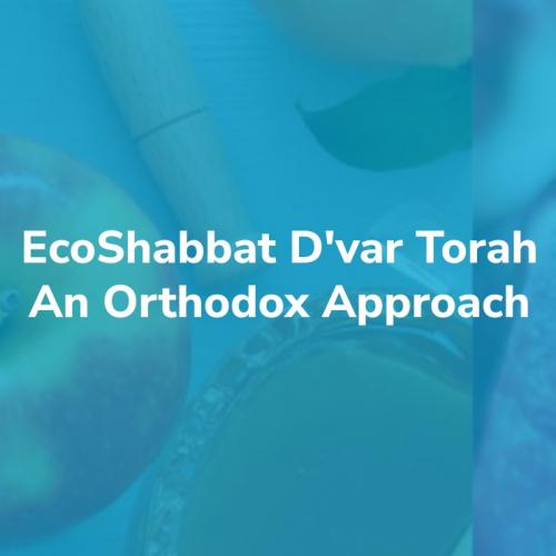 D'var Torah: Parashat Vayera - An Orthodox Approach